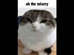 Image result for OH The Misary Cat
