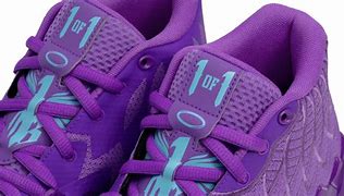 Image result for Puma Santa Cruz