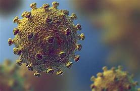 Image result for Coronavirus Common Cold