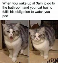 Image result for What Do the People Think of Me Cat Meme