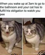 Image result for Cat Text Meme