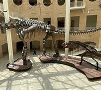 Image result for Largest Dinosaur in Atlanta