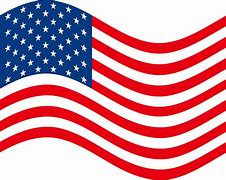 Image result for Flag of USA