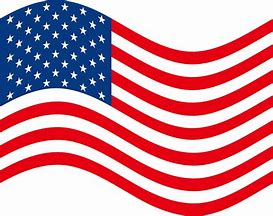 Image result for Flag Icon Clip Art
