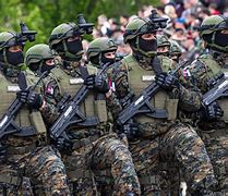 Image result for Serbian Armed