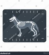 Image result for Dog X-ray Cartoon