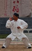 Image result for China Karate
