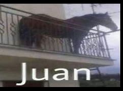 Image result for Buscando a Juan Meme