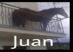 Image result for Popular Memes Juan