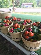 Image result for CSA Farm