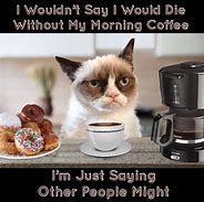 Image result for Cat Poo Coffee Meme