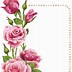 Image result for Small Pink Rose Border