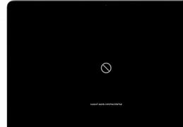 Image result for Mac Startup Screen