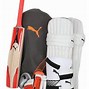Image result for Junior Cricket Kit
