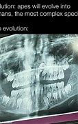 Image result for Mocking Evolution Memes