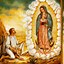 Image result for Blessed Virgin Mary Our Lady of Guadalupe