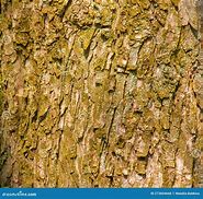 Image result for Rustic Wood Skins