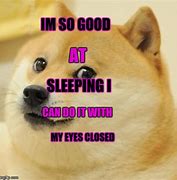 Image result for Such Doge Meme