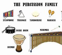 Image result for Drum Family Instruments