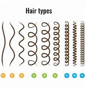 Image result for C4 Hair Type