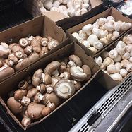 Image result for Mushroom Packaging