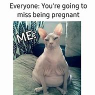 Image result for Crazy Pregnant Meme