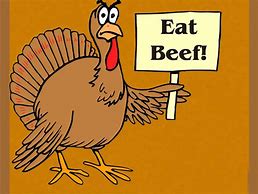 Image result for Funny Turkey Wallpaper