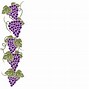 Image result for Vine of Grapes with Black Background