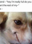 Image result for Meme Pet with Cross