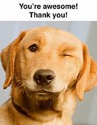 Image result for Awesome Thank You Meme