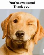 Image result for Thank You You're Awesome Meme