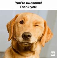 Image result for Happy Thank You Meme