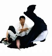 Image result for Aikido Philosophy