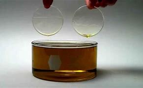 Image result for Oleophobic Lenses