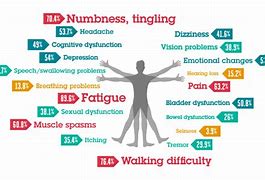 Image result for Invisible MS Disease