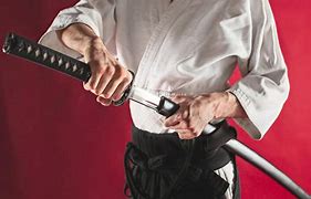 Image result for Weapons You Use in Karate