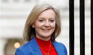 Image result for Liz Truss Necklace