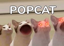 Image result for Pop Cat Clicker