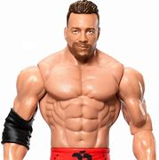 Image result for WWE Action Figures