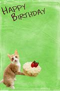 Image result for Happy Birthday Yoga Cat