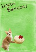 Image result for Beautiful Cat Happy Birthday