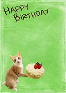 Image result for Happy Birthday Burmese Cat Meme
