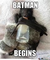 Image result for Funny Bat Animal