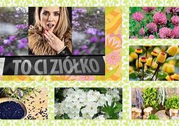 Image result for co_to_za_załamek_q