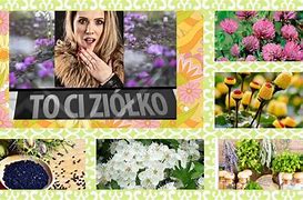 Image result for co_oznacza_Żukowate