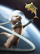 Image result for Otter Space Star Real Life