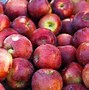 Image result for Choose Apple