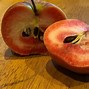 Image result for Red Love Apple Tree