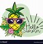 Image result for Cartoon Pineapple with Sunglasses