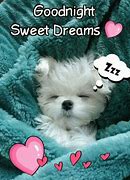 Image result for Sweet Dreams Meme Images